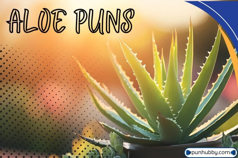 aloe puns