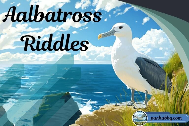 albatross riddles
