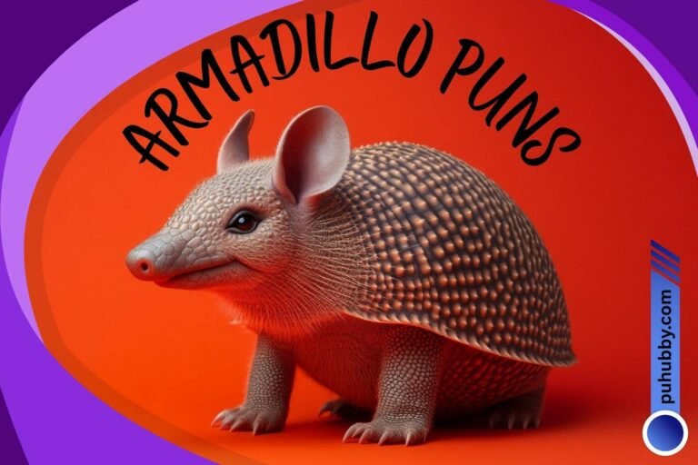 armadillo puns