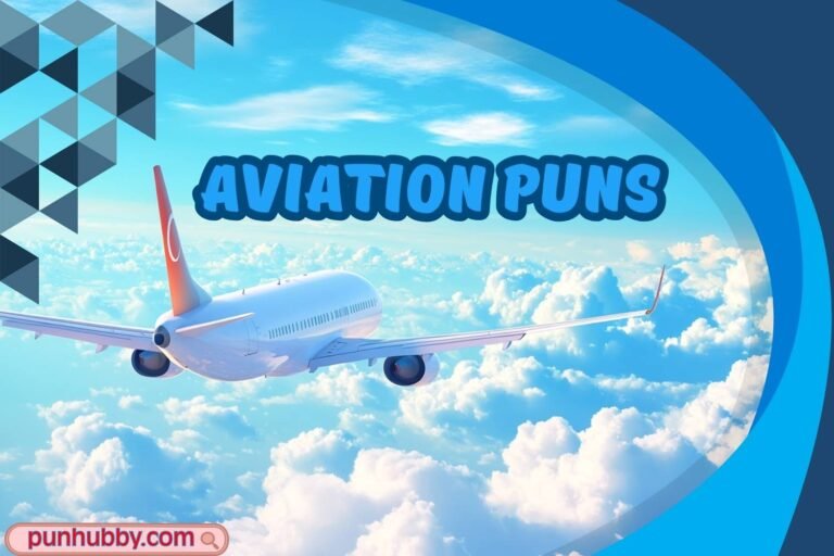 aviation puns
