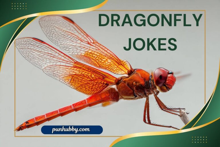 dragonfly jokes