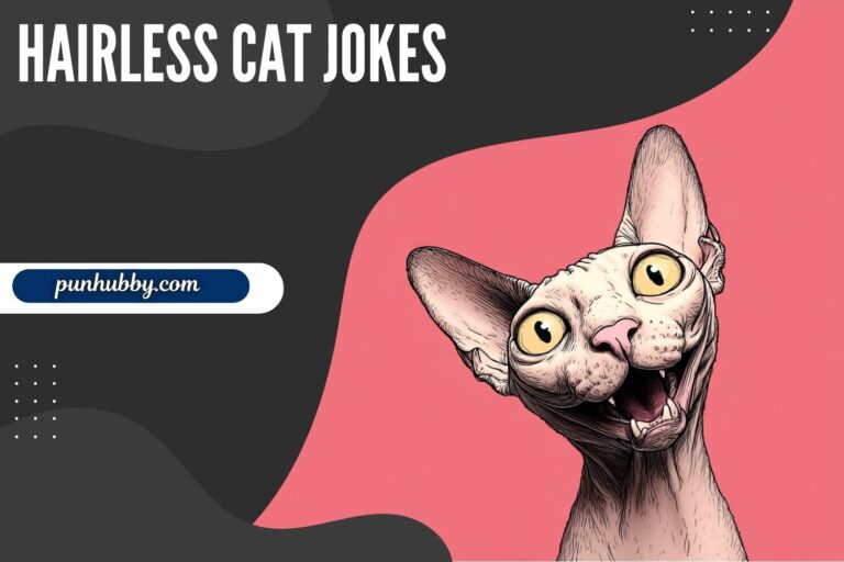hairless cat jokes