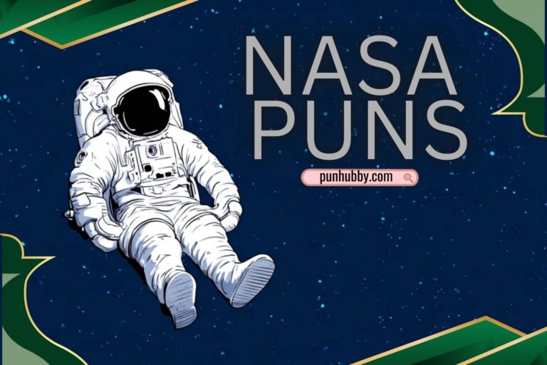 nasa puns