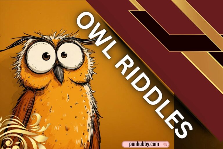 owl riddles